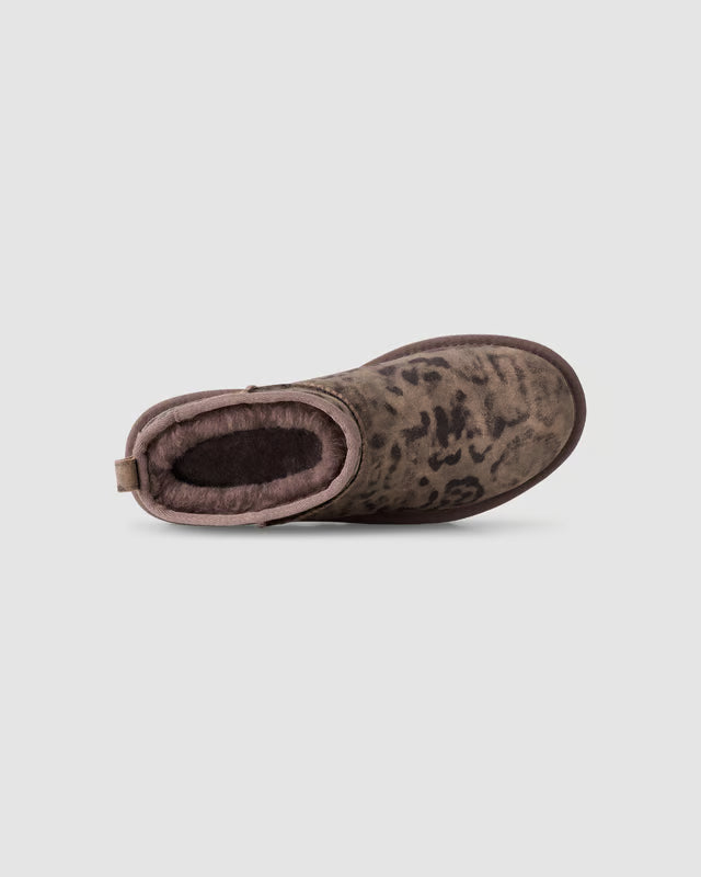 Classic Ultra Mini Spotted "chestnut"